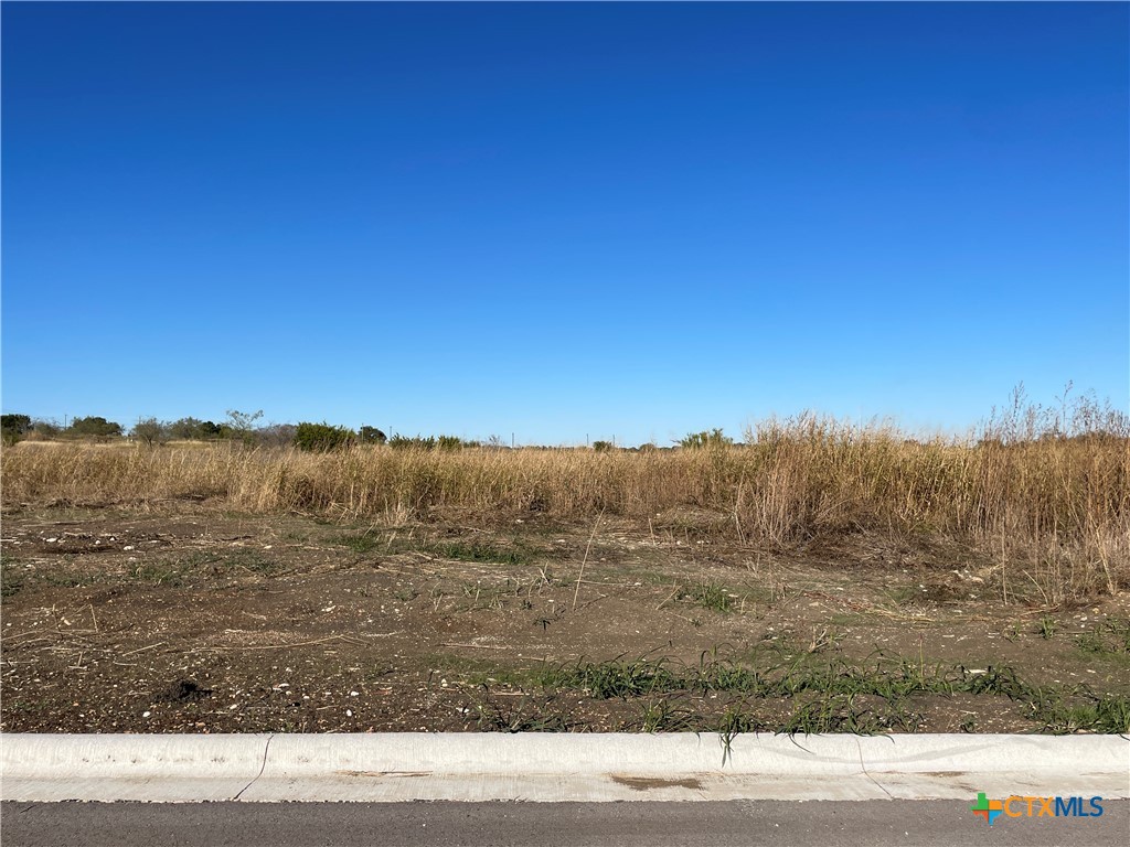 1843 Dorian Drive, Salado, TX 76571 — photo 1