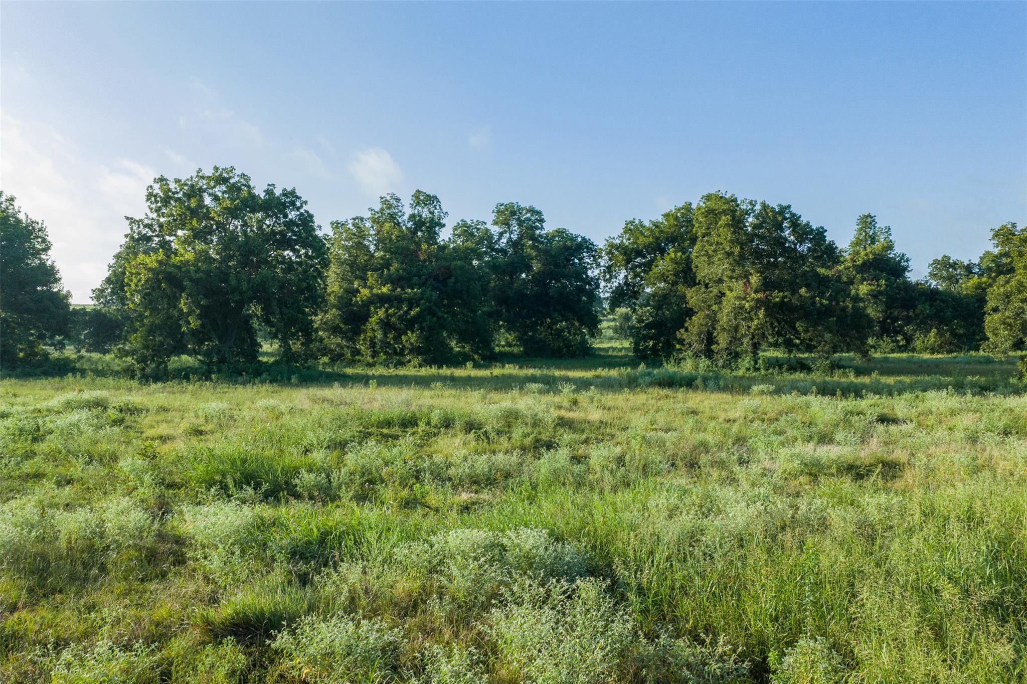 TBD  LCR 721 None, Thornton, TX 76653 — photo 1