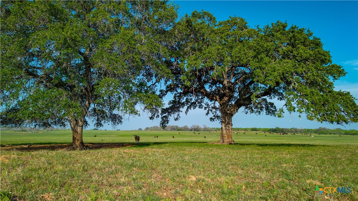 TBD County Road 404, Floresville, TX 78114 — photo 1