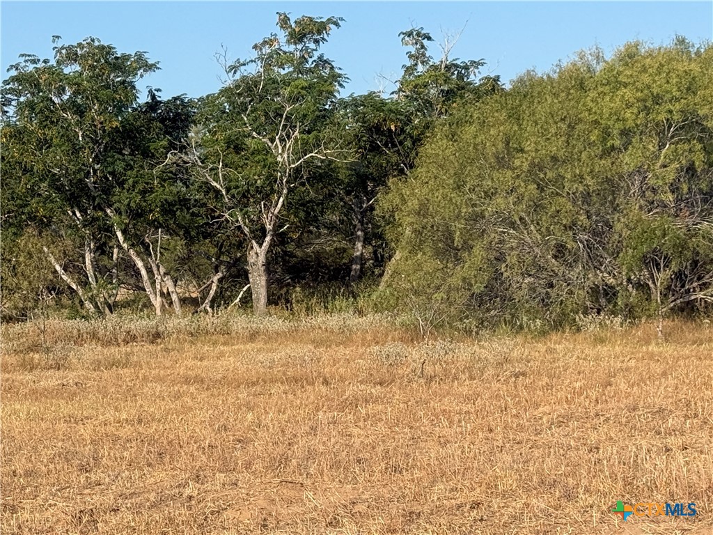 TBD Fm 1681-Tract 3, Stockdale, TX 78160 — photo 1