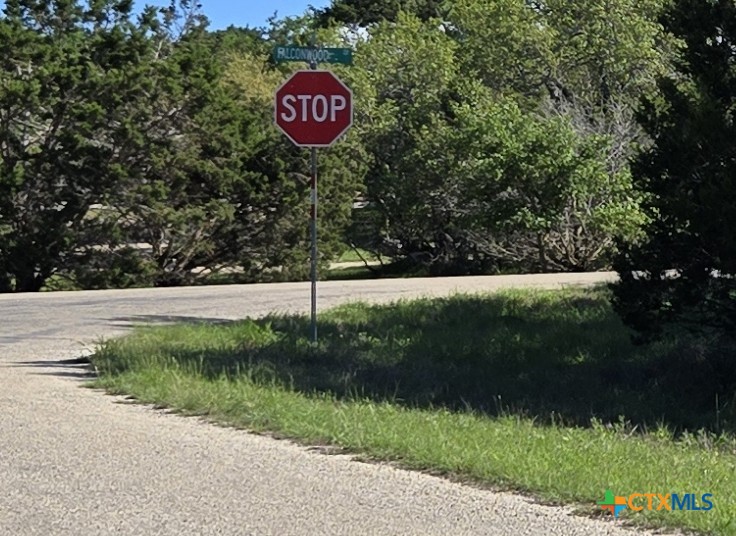 343 Falconwood Drive, San Marcos, TX 78666 — photo 1