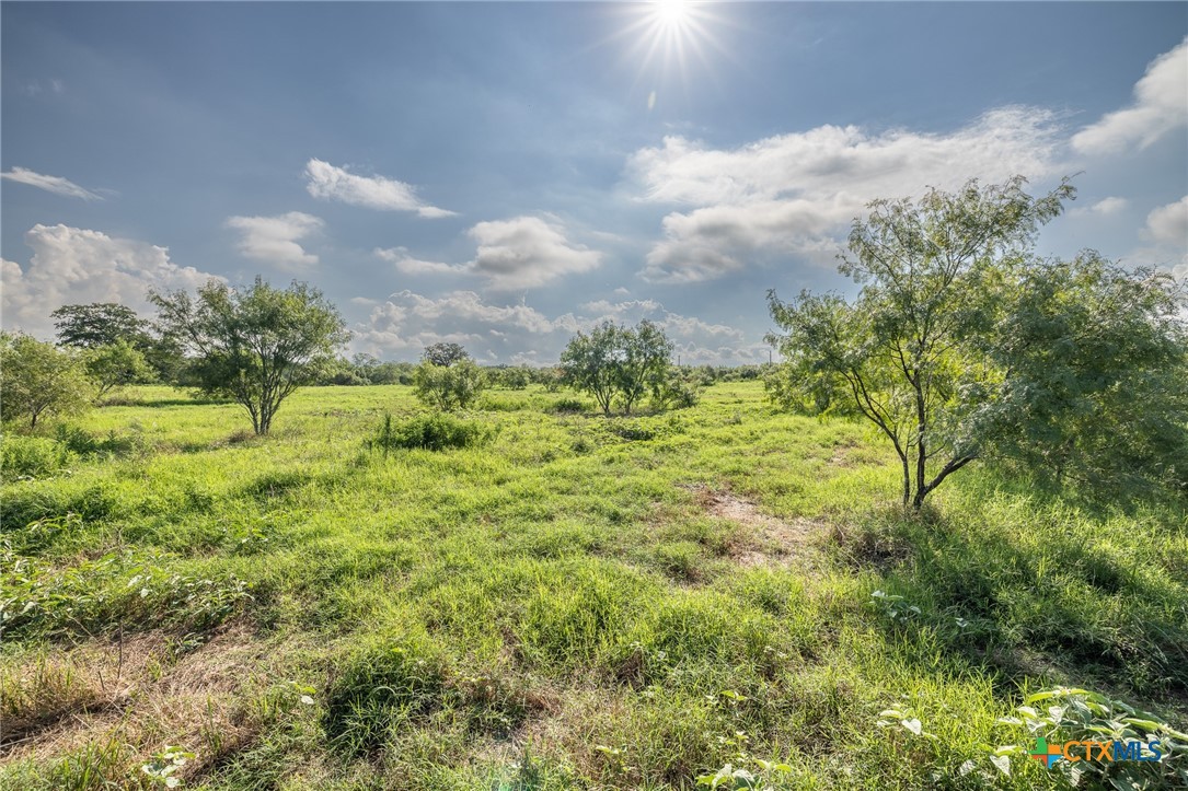 Lot 1-C County Road 491, Gonzales, TX 78629 — photo 1