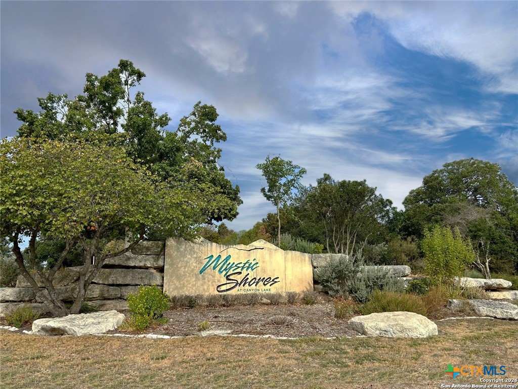 111 Dodder Lane, Spring Branch, TX 78070 — photo 1