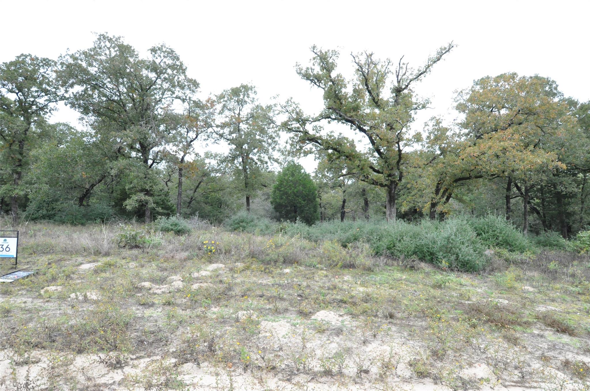 TBD  OakView Ln, Thrall, TX 76578 — photo 1