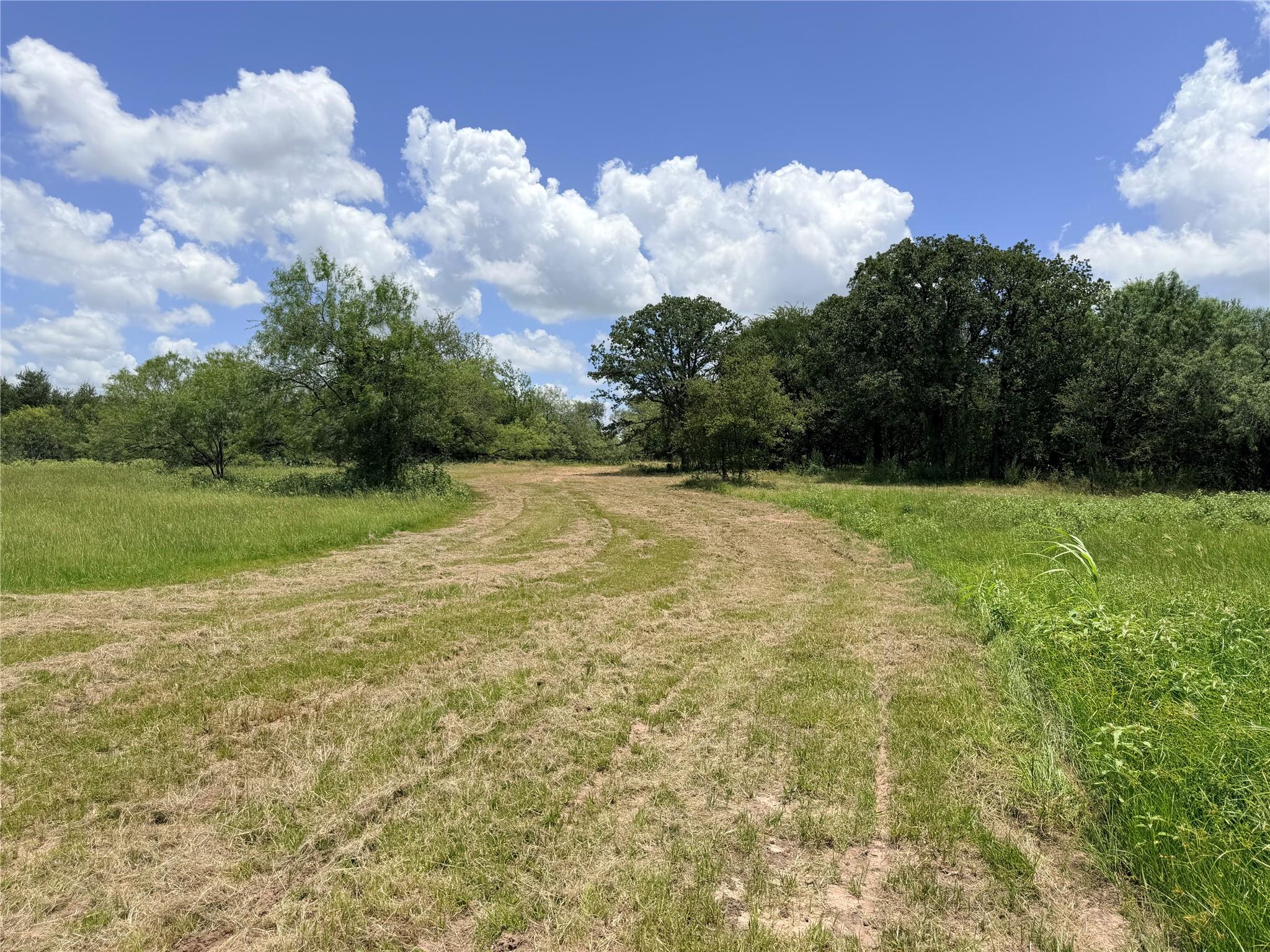 TBD FM 86 Tract 5 Hwy, Luling, TX 78648 — photo 1