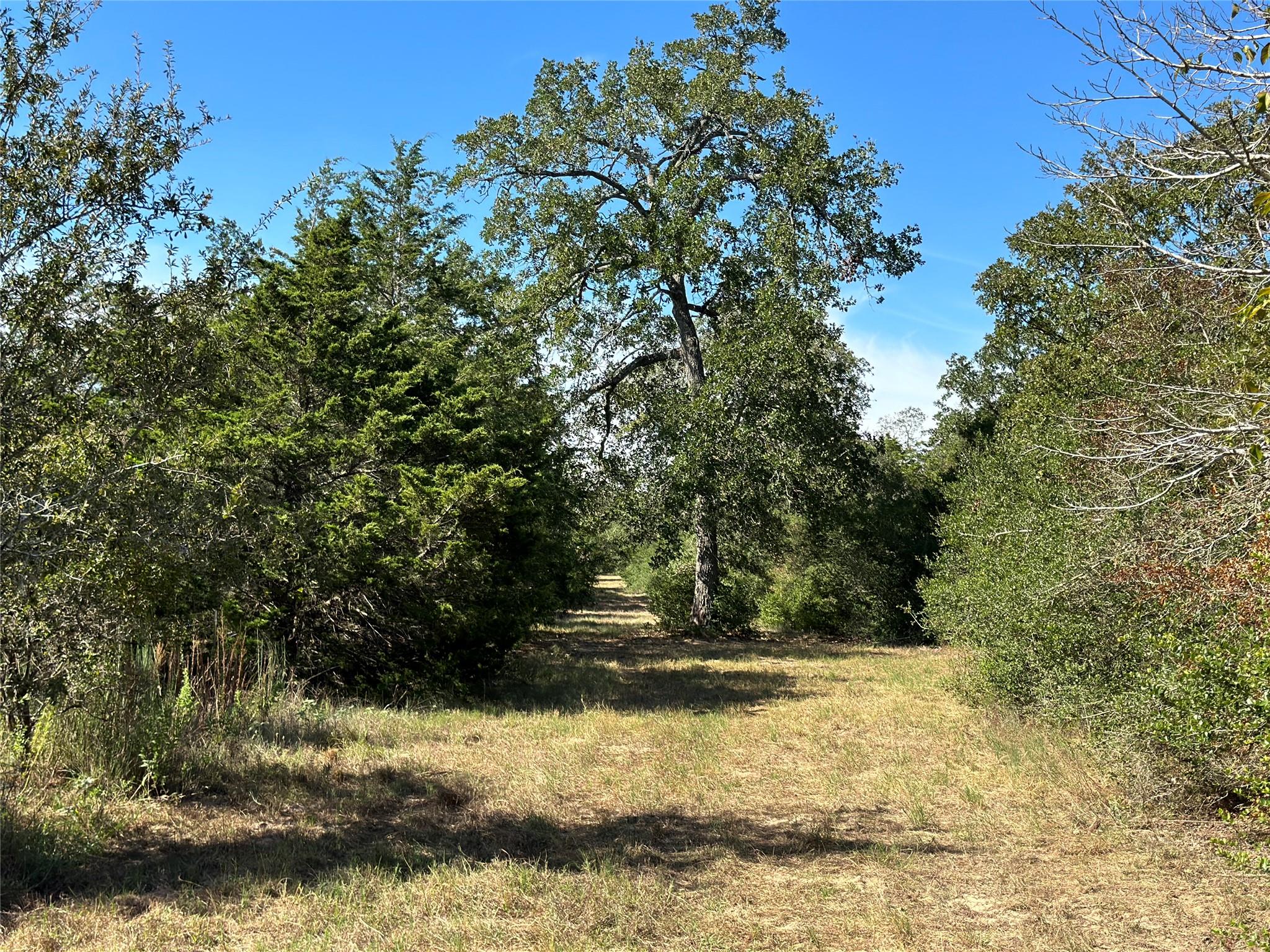105  Colony Line Trl, Dale, TX 78616 — photo 1