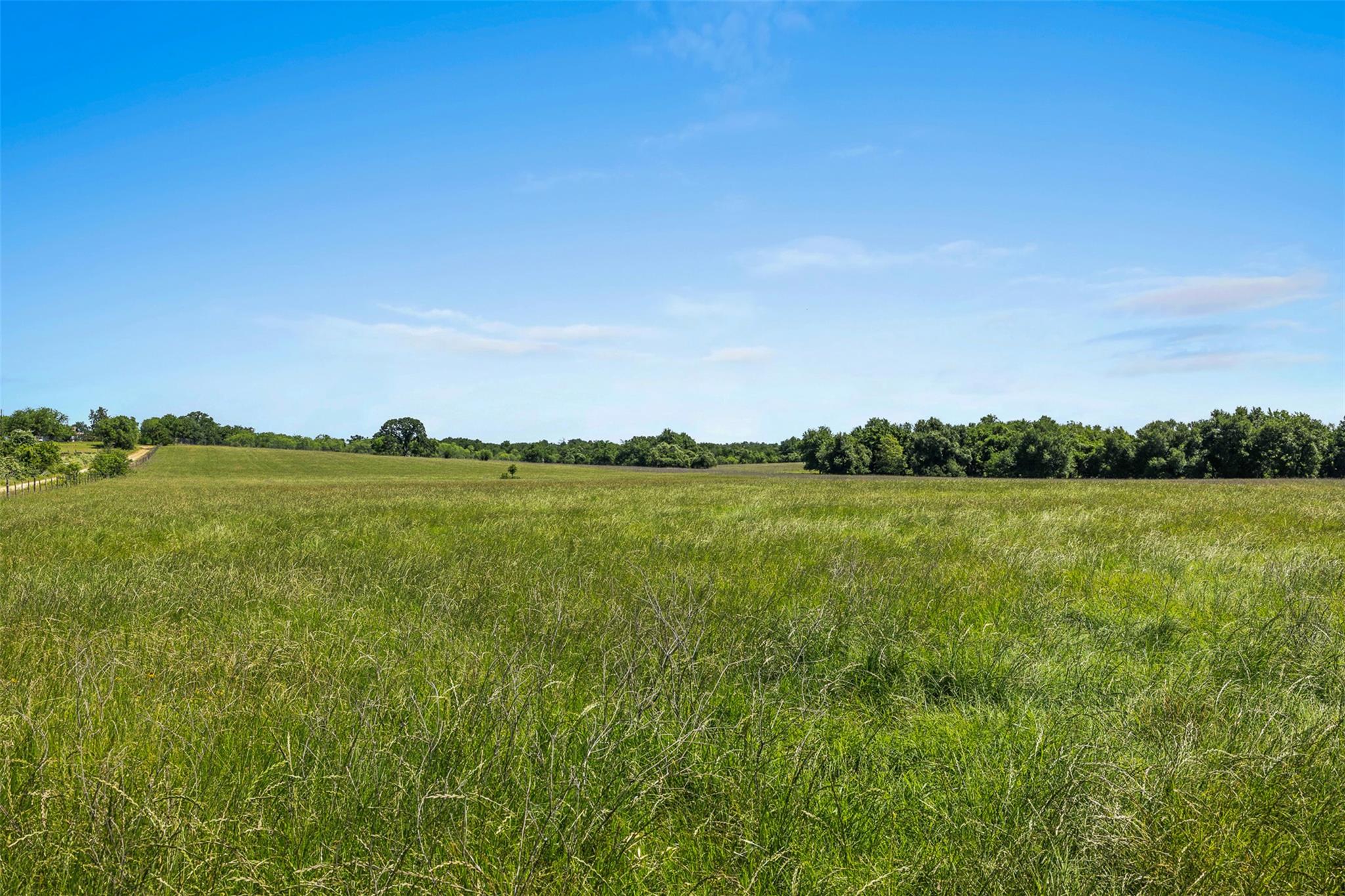 TBD  CR 270 None, Cameron, TX 76520 — photo 1