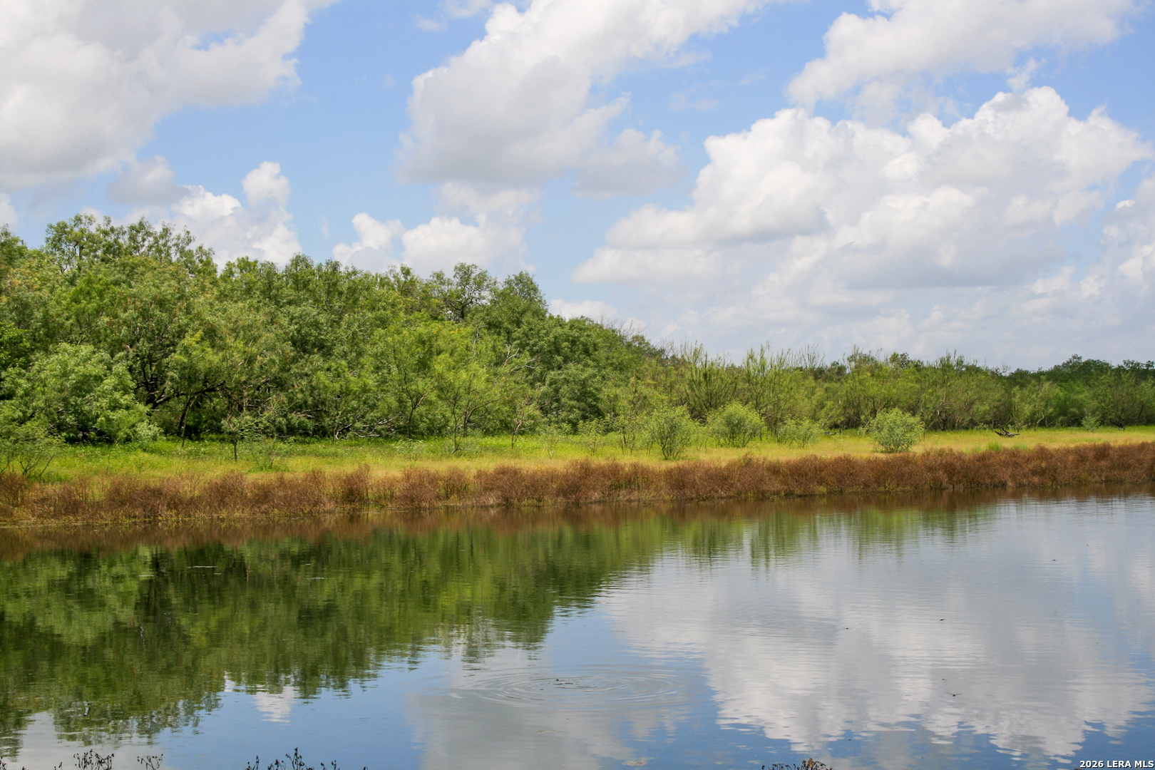1277 County Road 138, Floresville, TX 78114 — photo 1