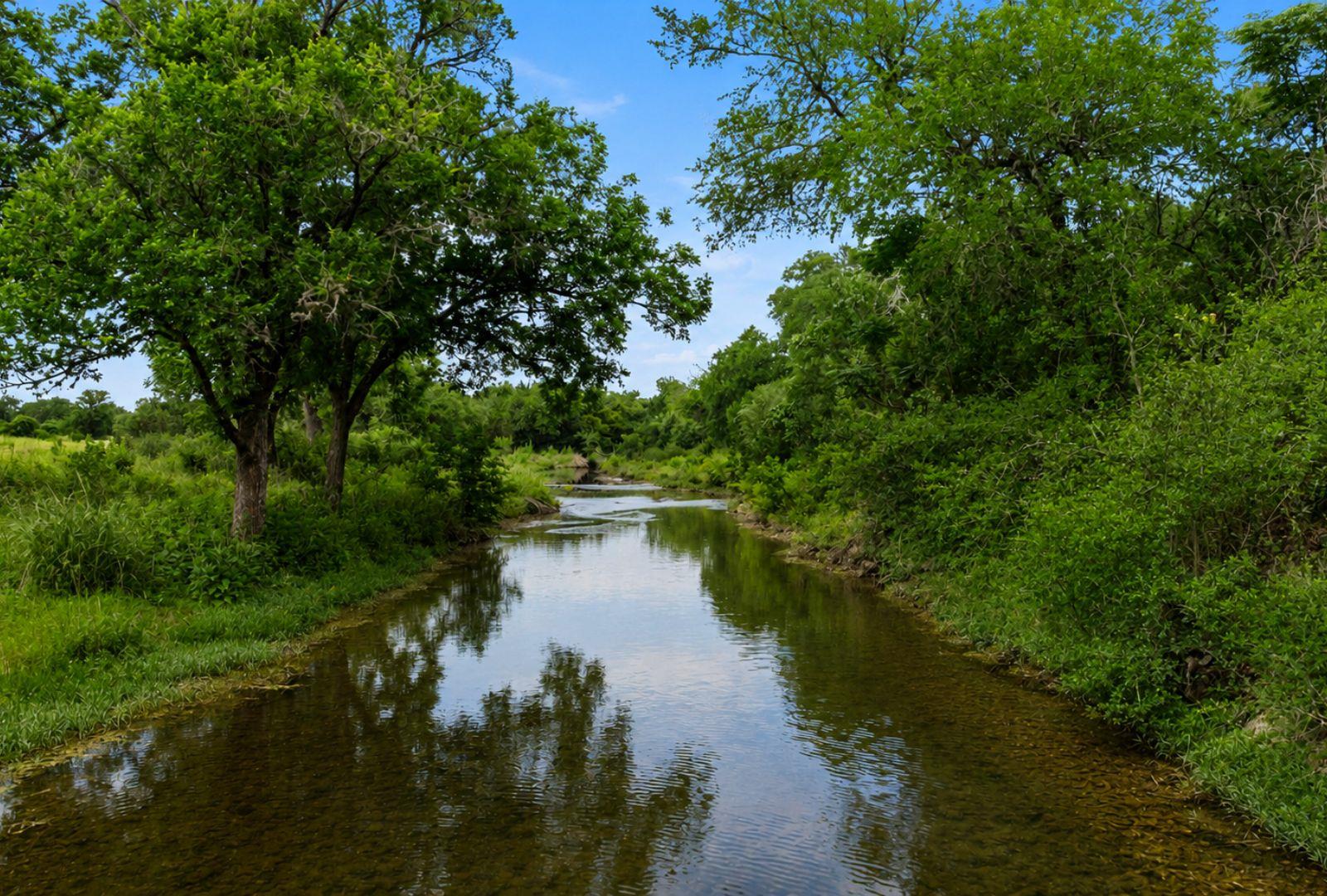 14440 Nutty Brown Rd, Austin, TX 78737 — photo 1