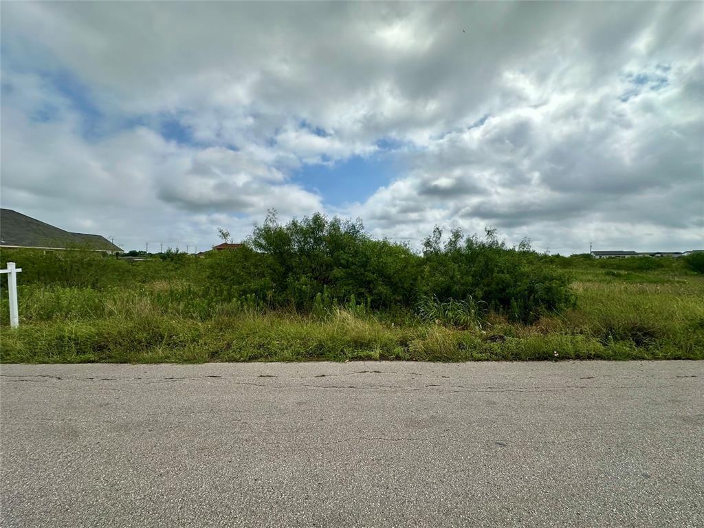 175  El Dorado Dr, Kyle, TX 78640 — photo 1