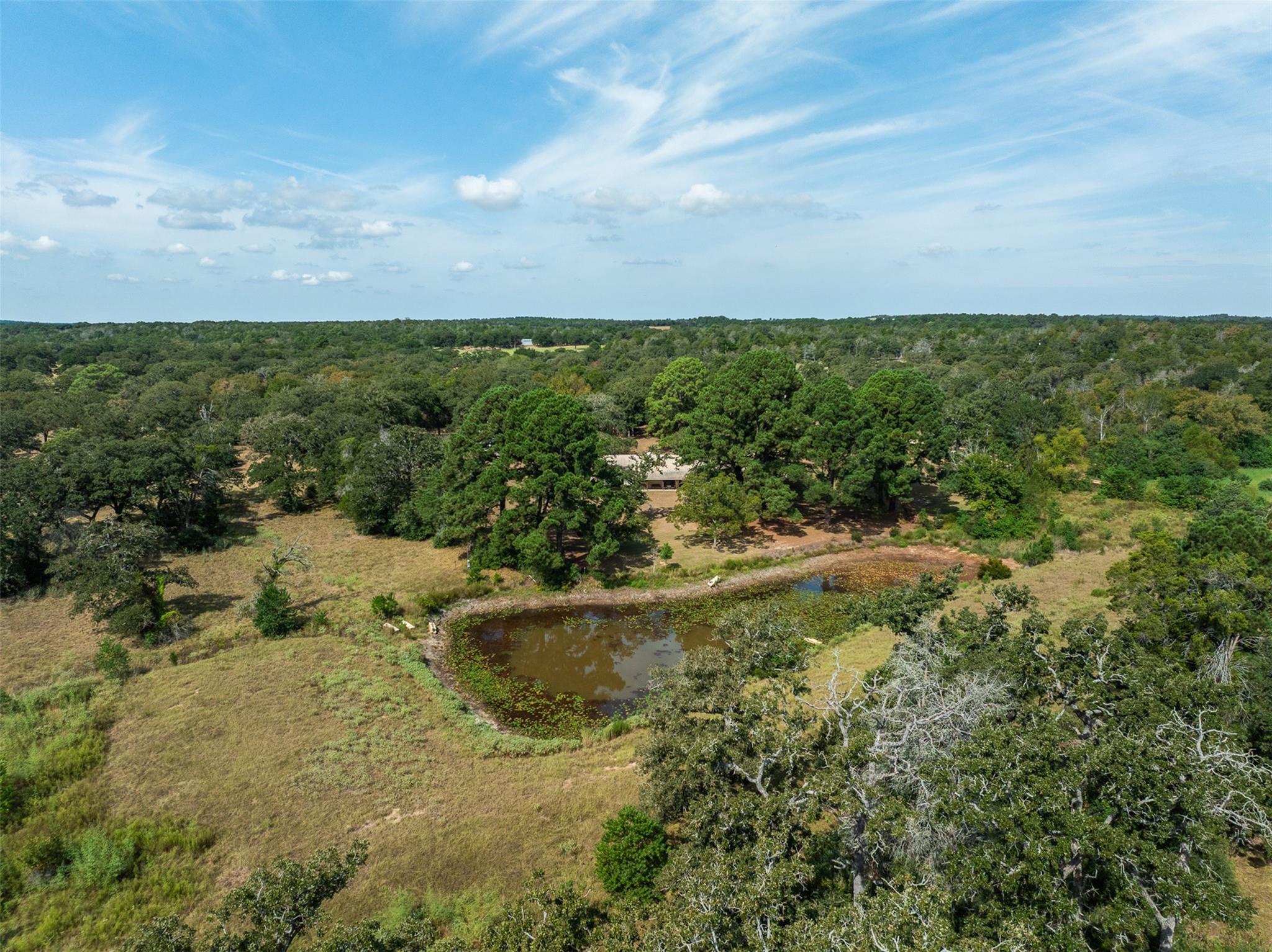 179  Stiewert Ln, Paige, TX 78659 — photo 1