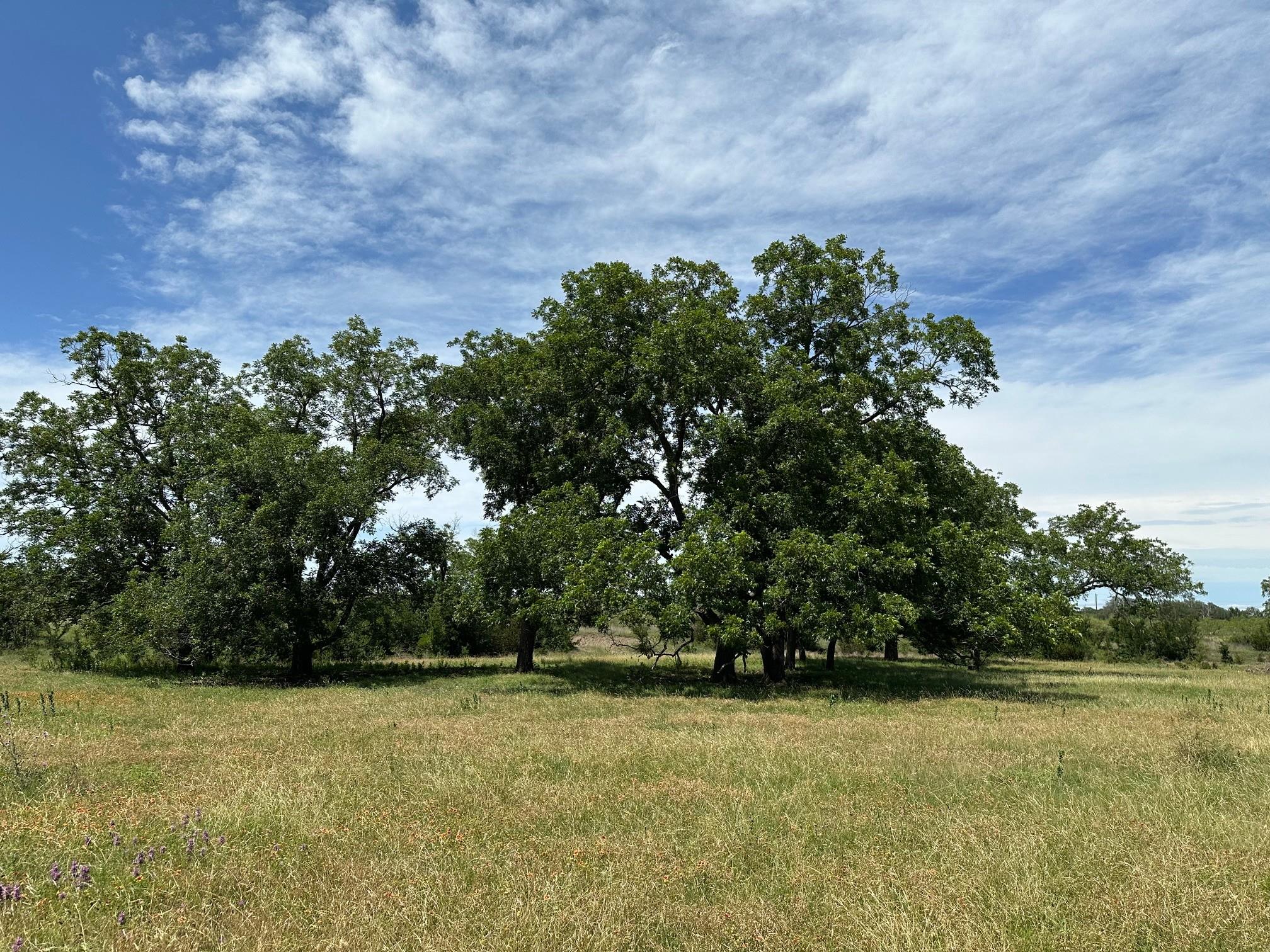 tbd  94ac County Road 330 None, Bertram, TX 78605 — photo 1