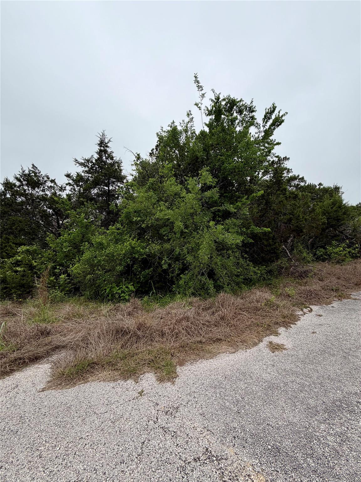8903  Eagle Pass, Lago Vista, TX 78645 — photo 1