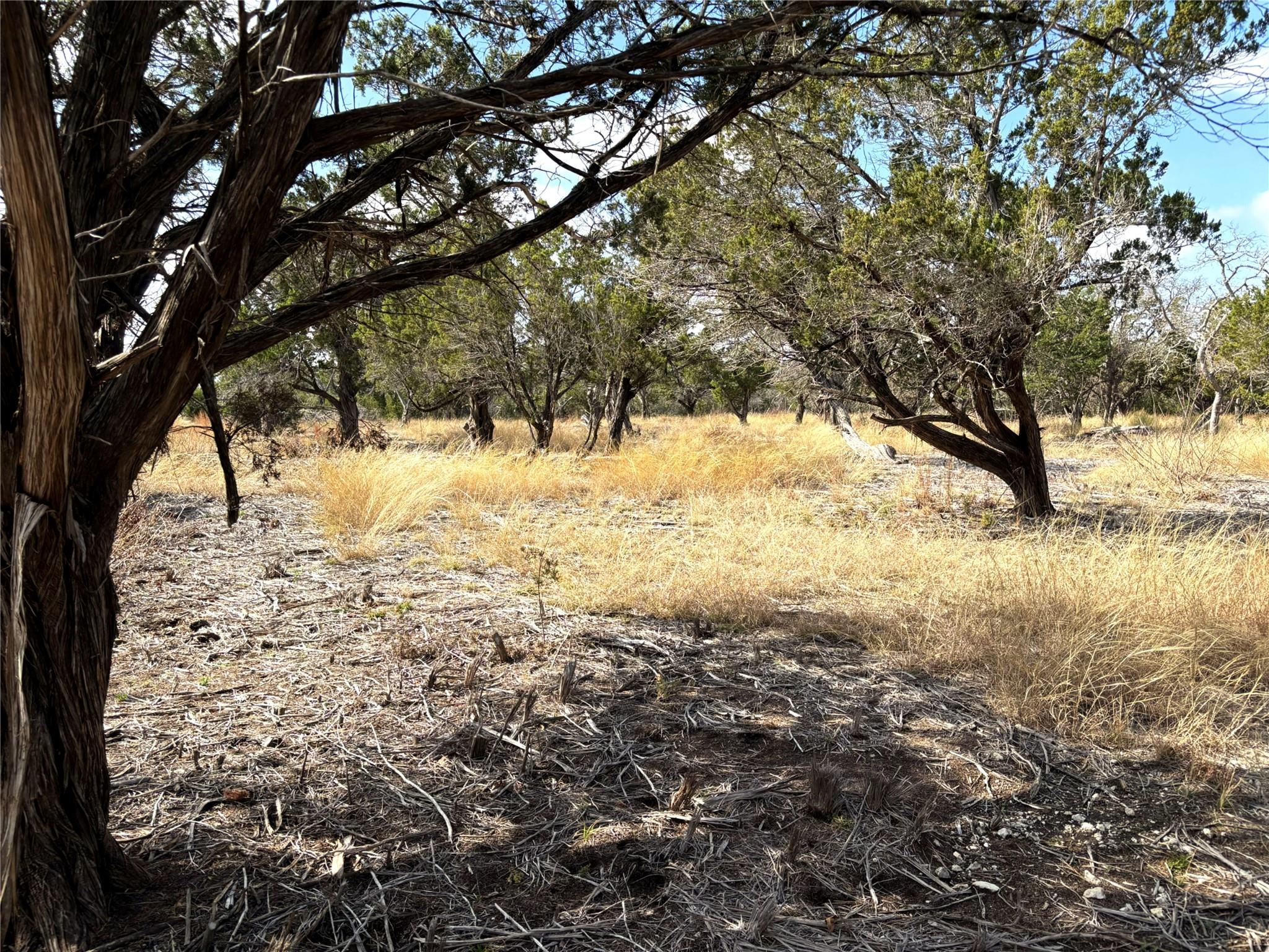 Tract 7  Burnet Oaks None, Burnet, TX 78611 — photo 1