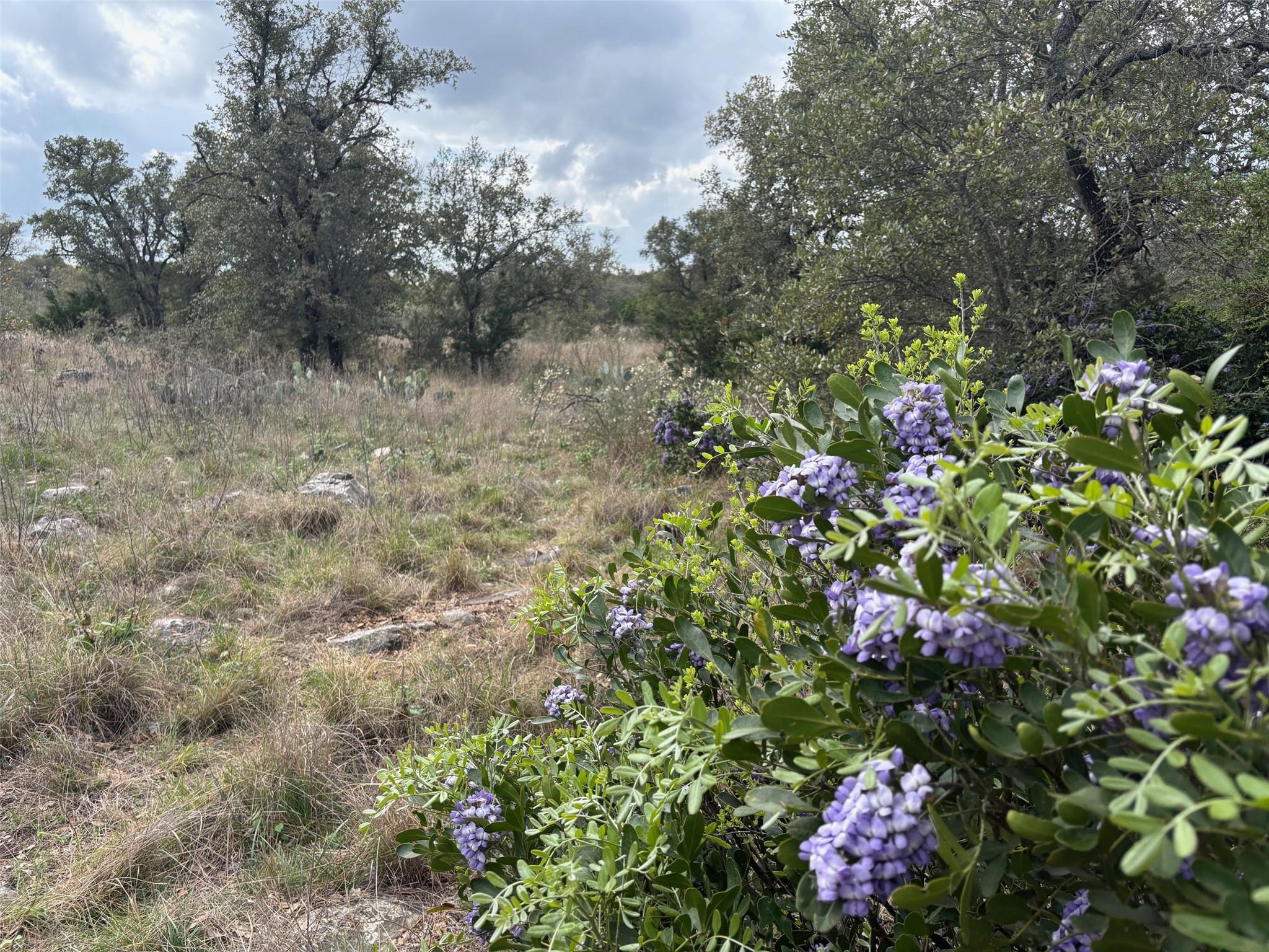 Lot 34  Eagle Feather None, Kingsland, TX 78639 — photo 1