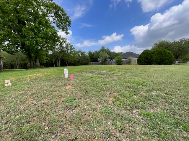 117 Allison Cv, Elgin, TX 78621 — photo 1