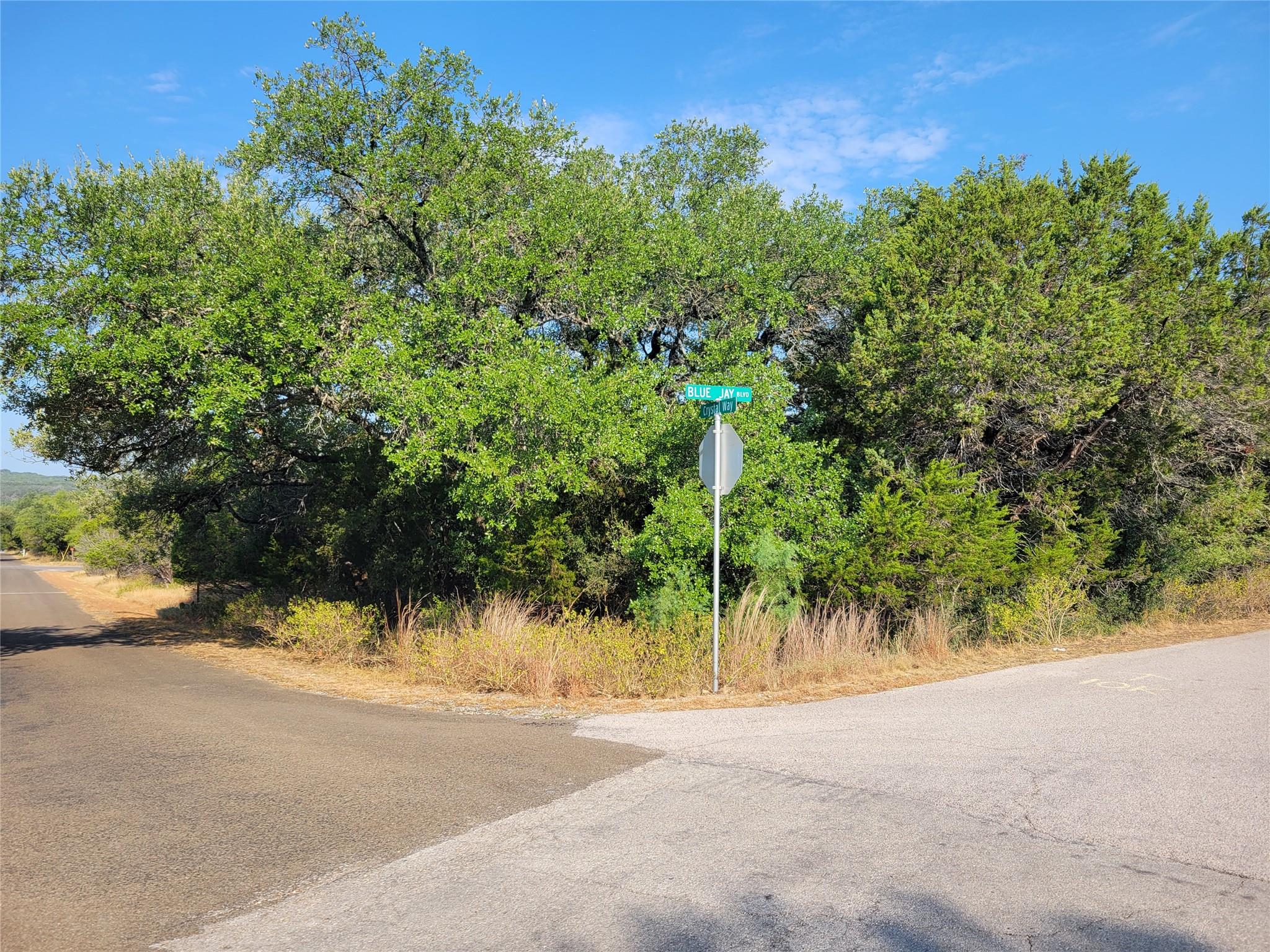 21801 Bluejay Blvd, Lago Vista, TX 78645 — photo 1
