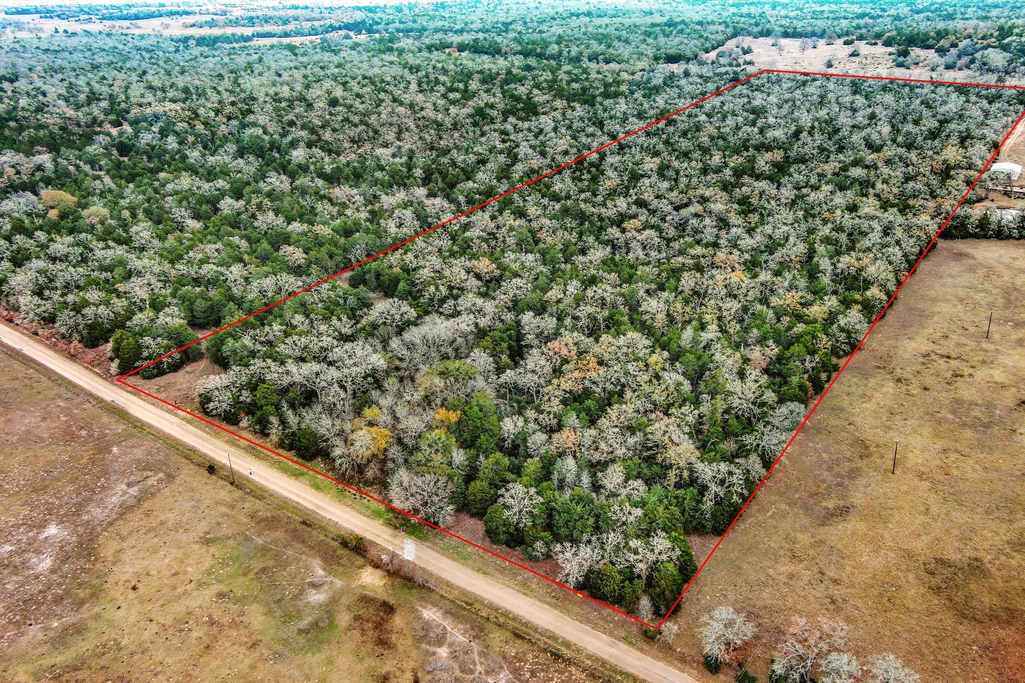 24 acres  CR 332 Rd, Paige, TX 78659 — photo 1