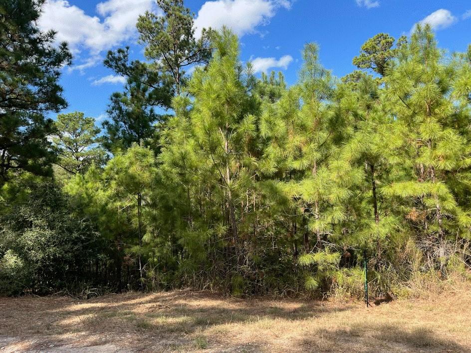 Lot 986  Kailua L Ln, Bastrop, TX 78602 — photo 1