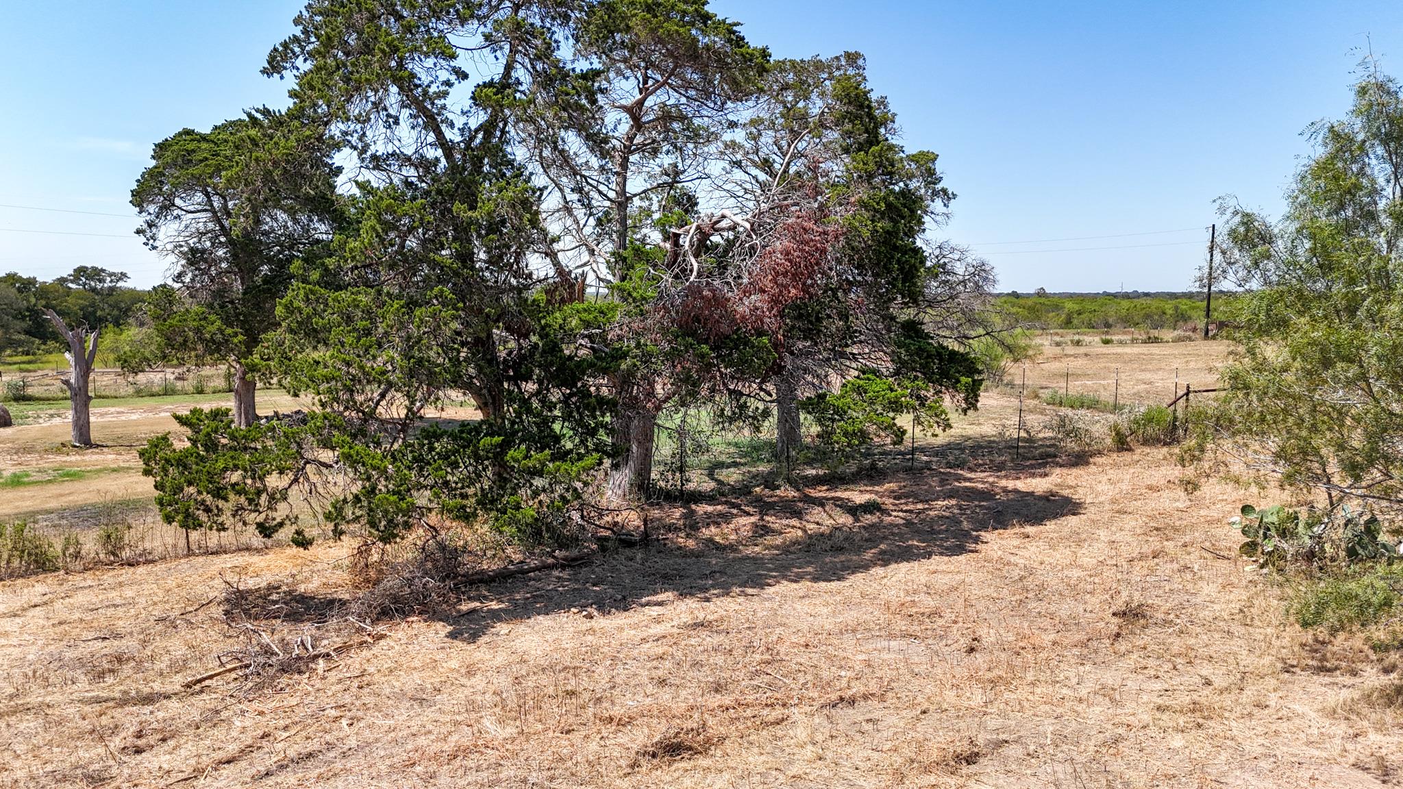 4049  Old Colony Line Rd, Dale, TX 78616 — photo 1