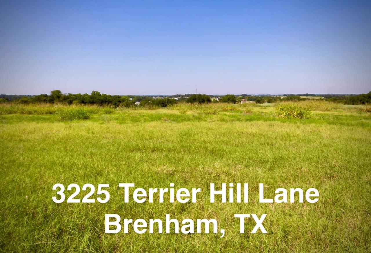 3225  Terrier Hill Ln, Brenham, TX 77833 — photo 1