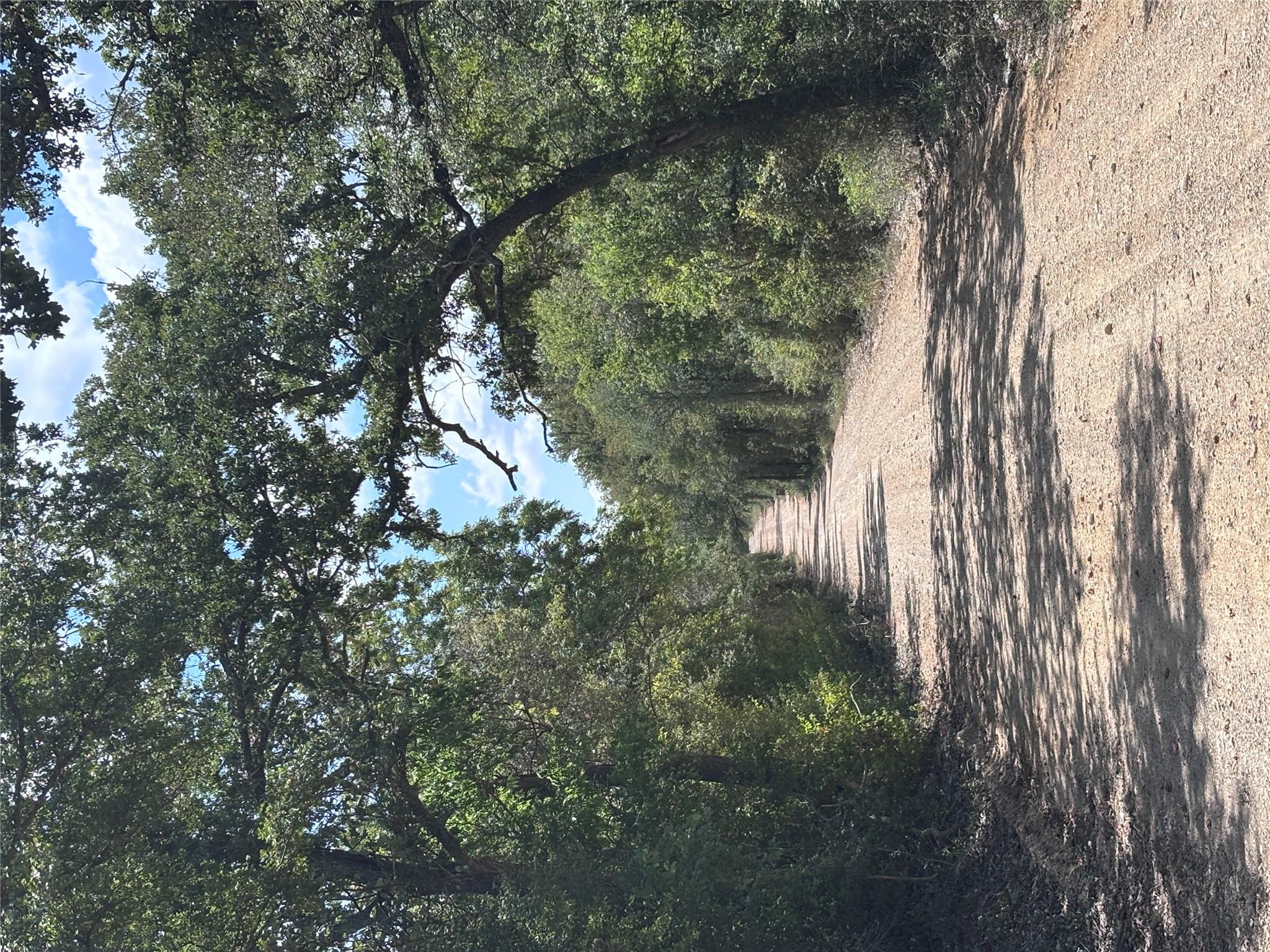TBD 10.04 AC County Road 413 None, Thorndale, TX 76577 — photo 1