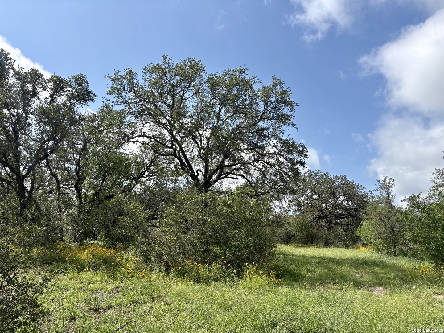 165 SANCTUARY LN, Von Ormy, TX 78073 — photo 1