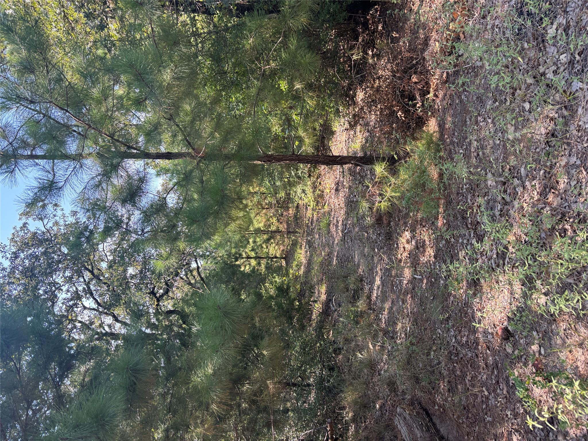 667  Paint Creek South Rd