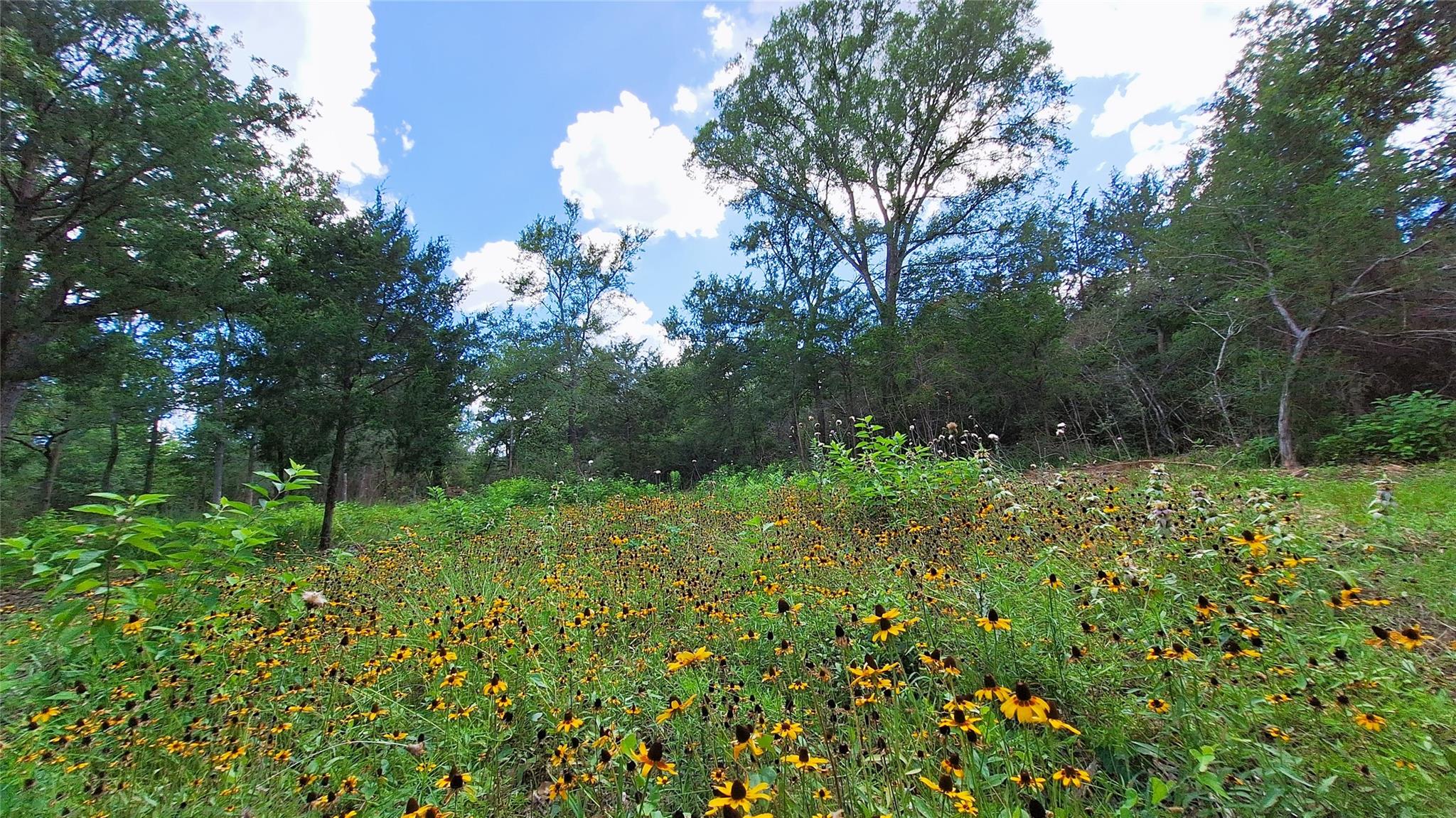 1014 Beaver Lake Dr, Caldwell, TX 77836 — photo 1