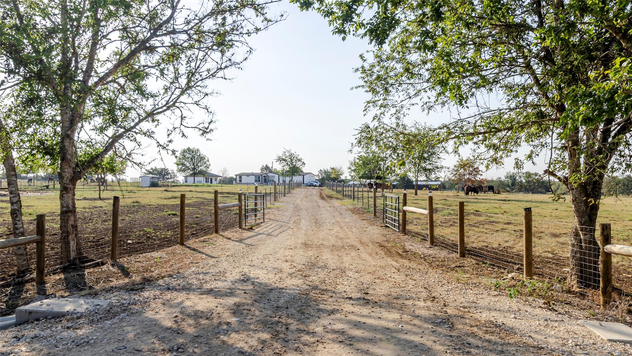 2015  TX-21 None, Paige, TX 78659 — photo 1