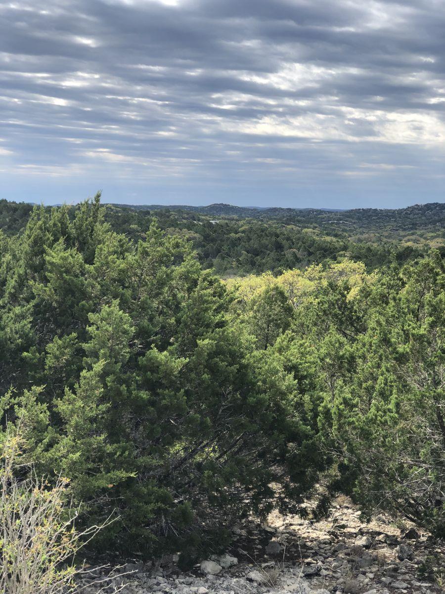 TBD  County Road 635 None, Rocksprings, TX 78880 — photo 1