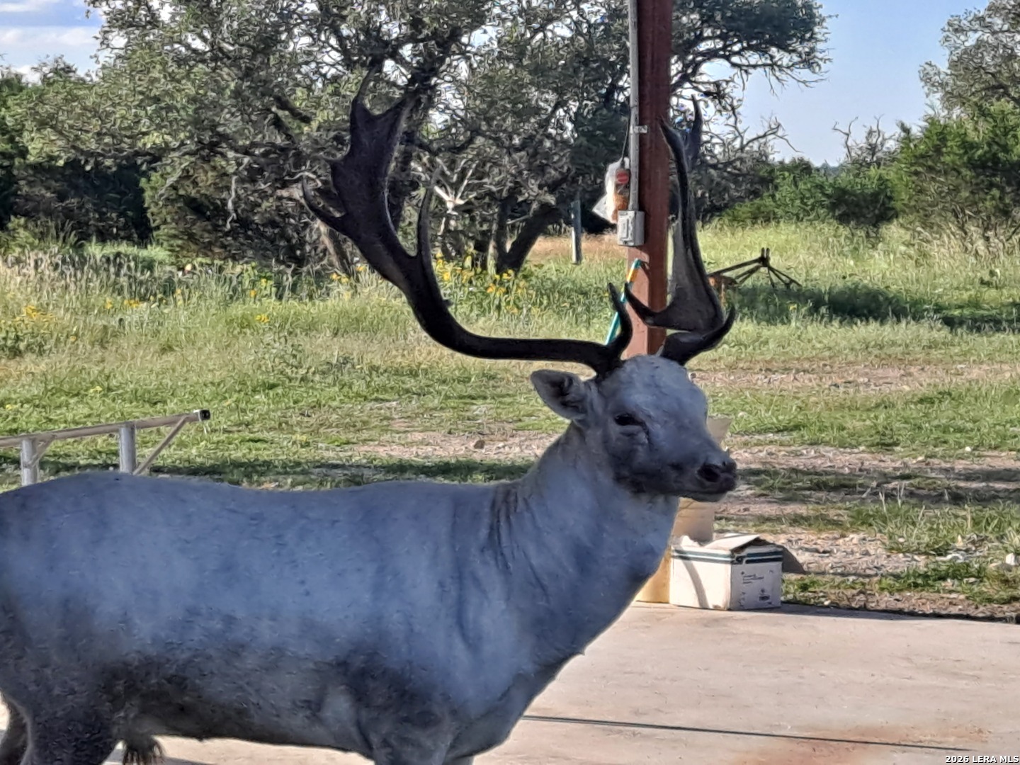 2724 Sd 24910, Rocksprings, TX 78880 — photo 1