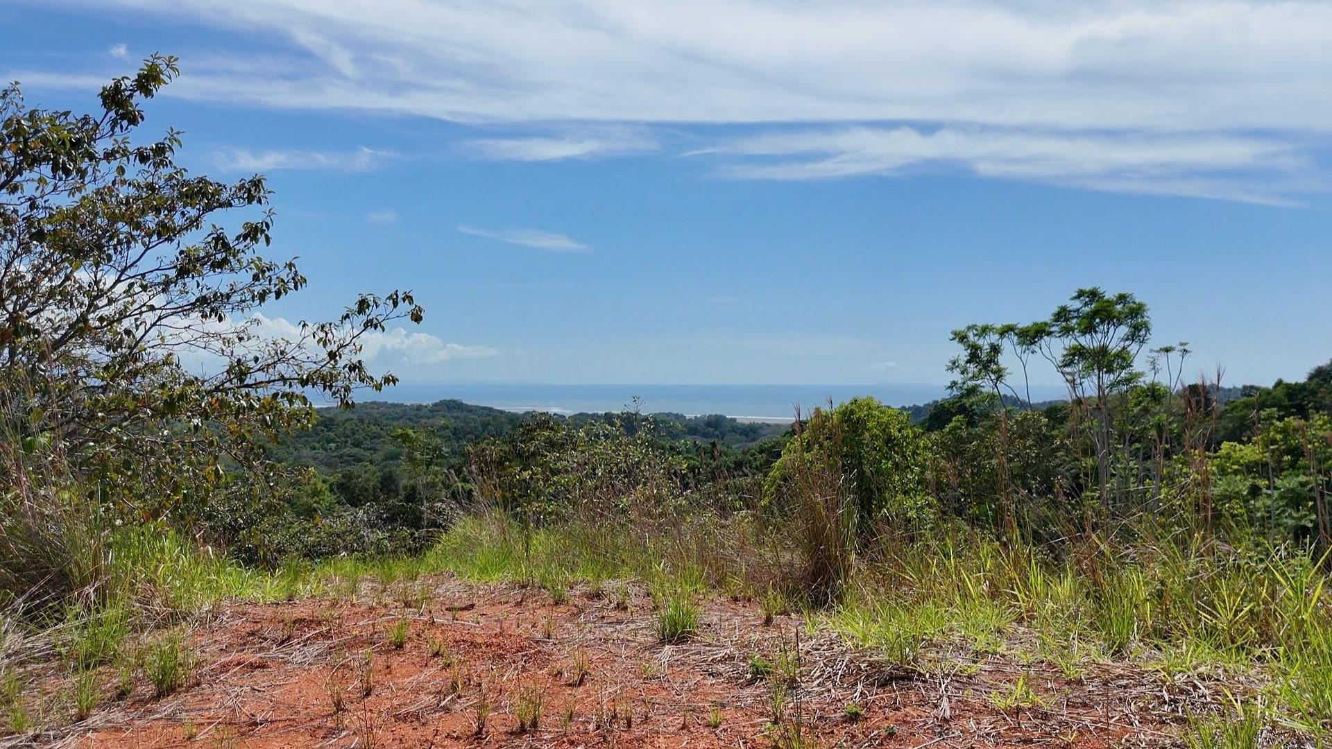 000000  Elevate Your Dreams – 3.70 Acres of Paradise None, Out of State,  60501 — photo 1