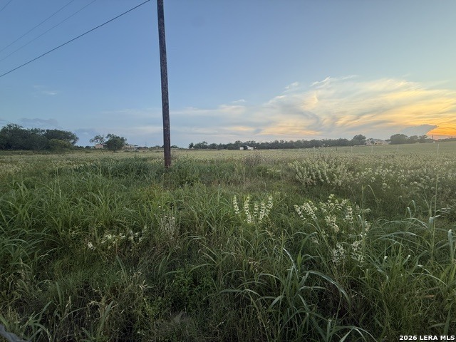 1540 Bluecreek, La Vernia, TX 78121 — photo 1