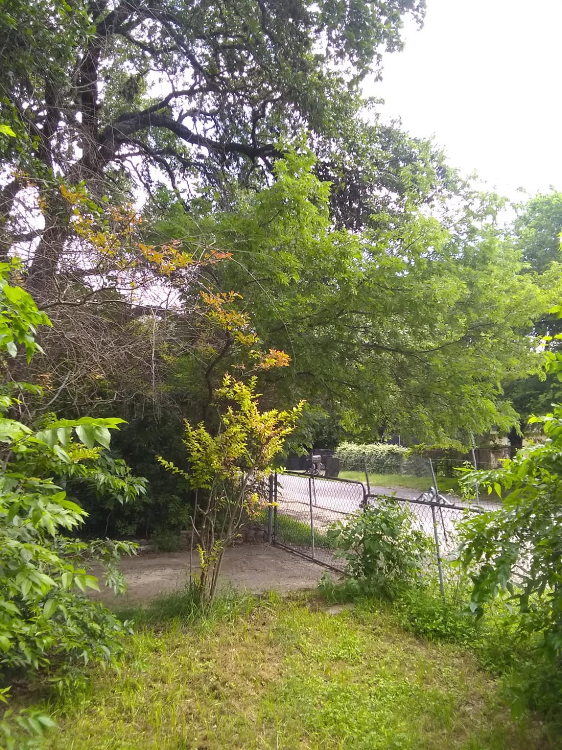8002  Persimmon Trl, Austin, TX 78745 — photo 1