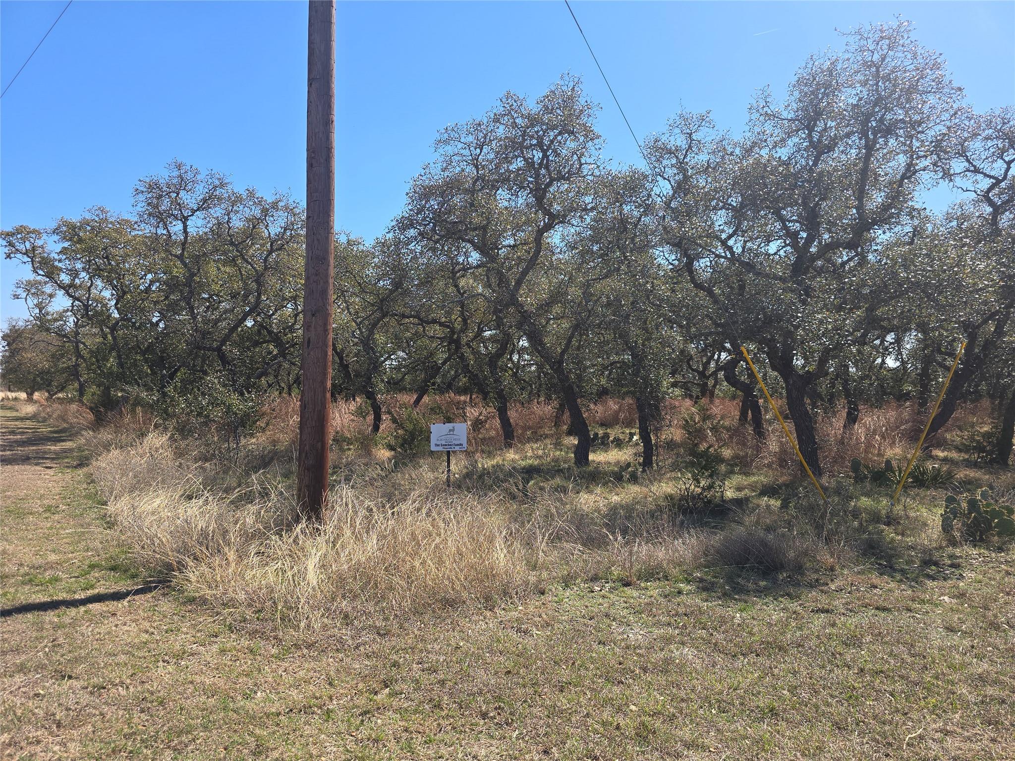 lot 211  Axis Way, Lampasas, TX 76550 — photo 1