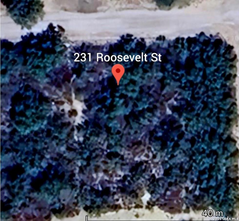 231 Roosevelt St., El Indio, TX 78860 — photo 1