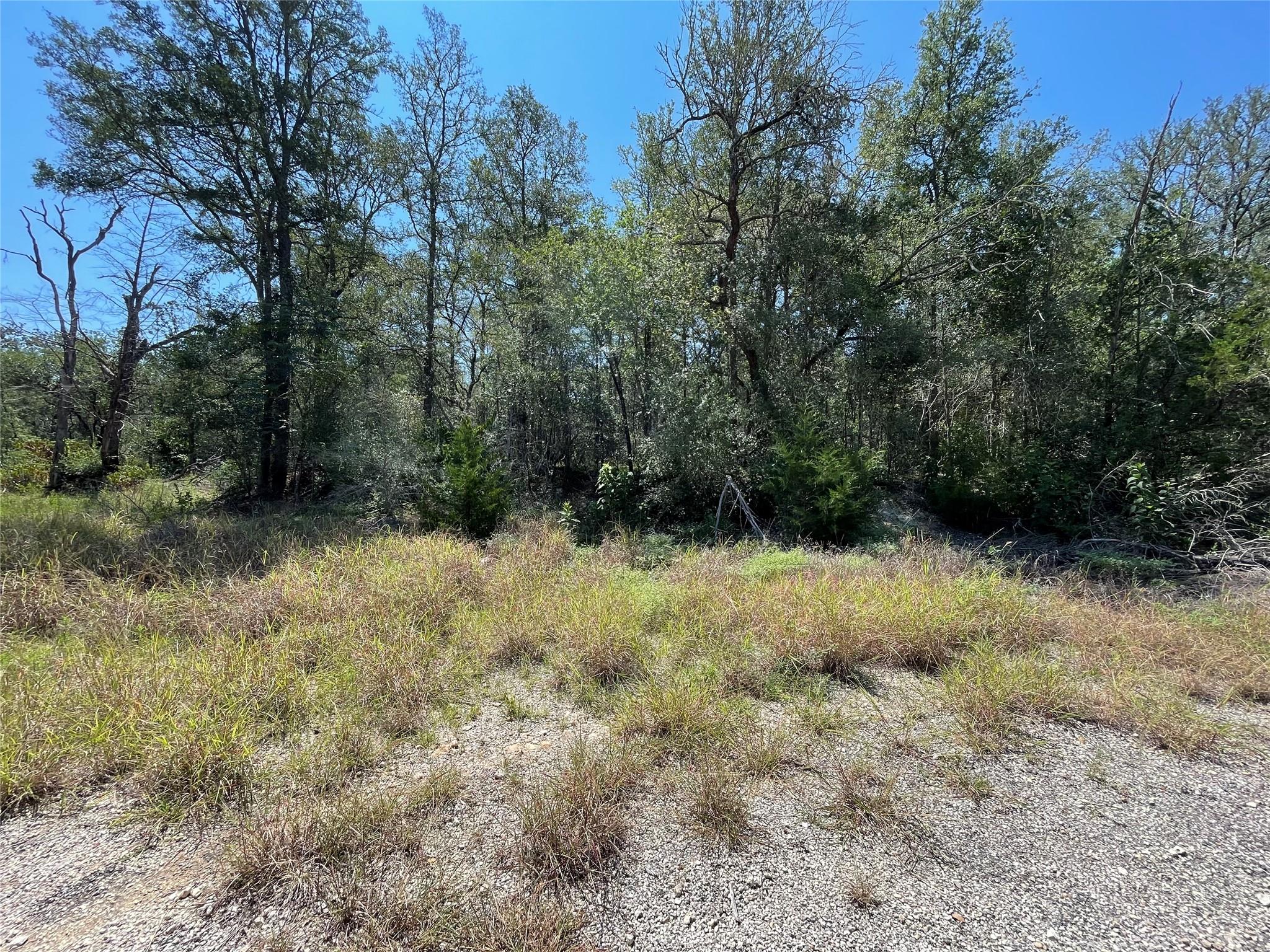 Lot 1112  Kawanui Dr, Bastrop, TX 78602 — photo 1