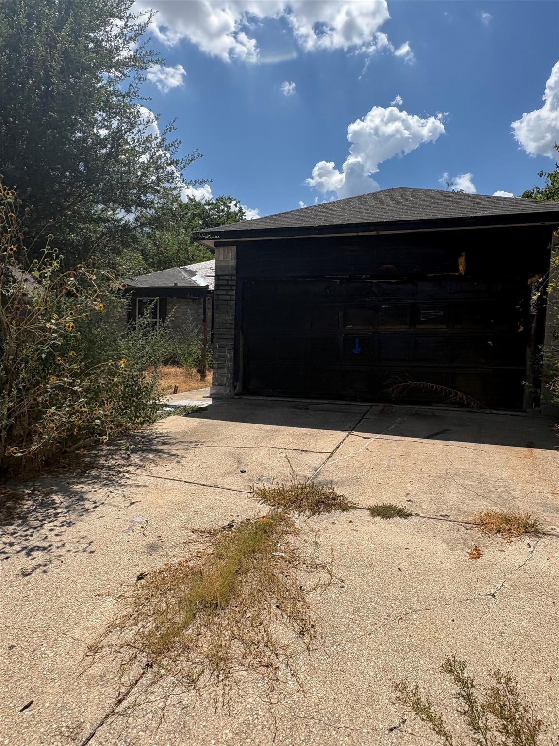 205  Barberry Dr, Georgetown, TX 78626 — photo 1