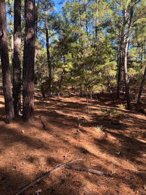 Lot 1395  Kaupa Ct, Bastrop, TX 78602 — photo 1