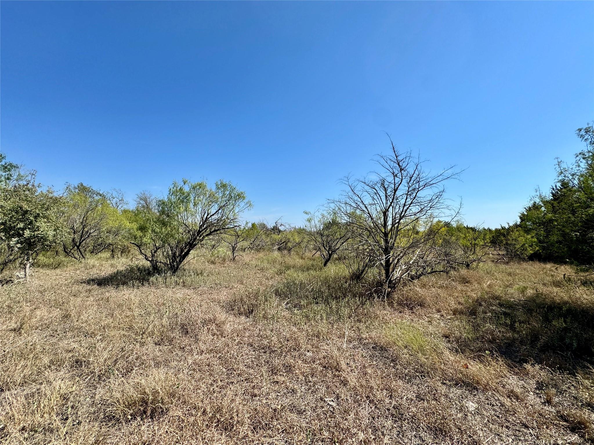 14312  Maha Rd, Austin, TX 78719 — photo 1