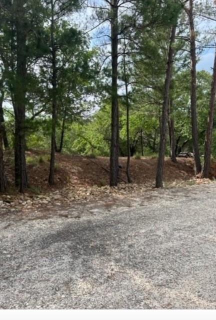Lot 1114  KAOHIKAIPU Dr, Bastrop, TX 78602 — photo 1