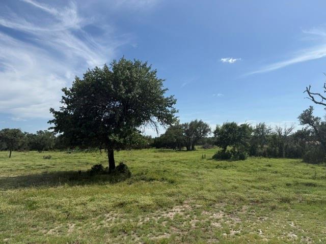 TBD W 29 Hwy, Bertram, TX 78605 — photo 1