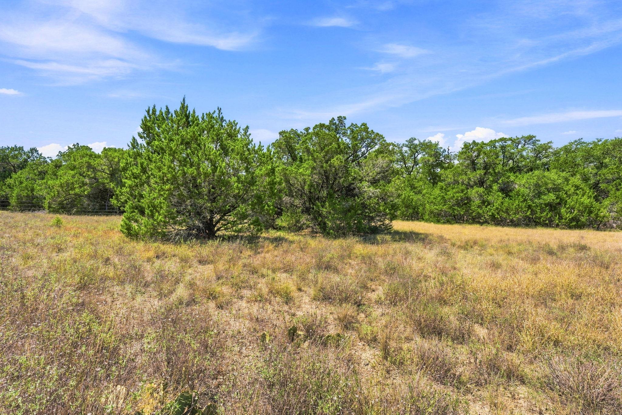 TBD 10.68 Ac Lipan Run, Fischer, TX 78623 — photo 1