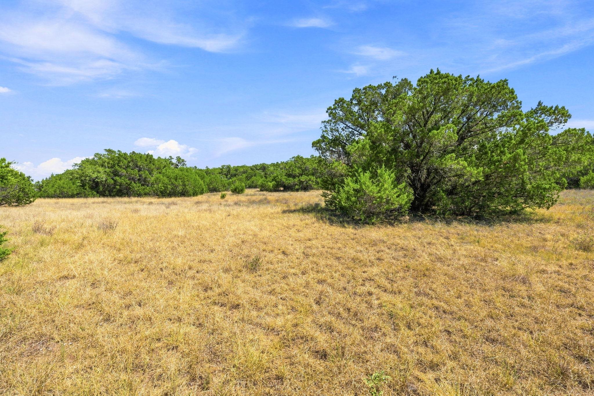 TBD 22.5 Ac  Lipan Run, Fischer, TX 78623 — photo 1