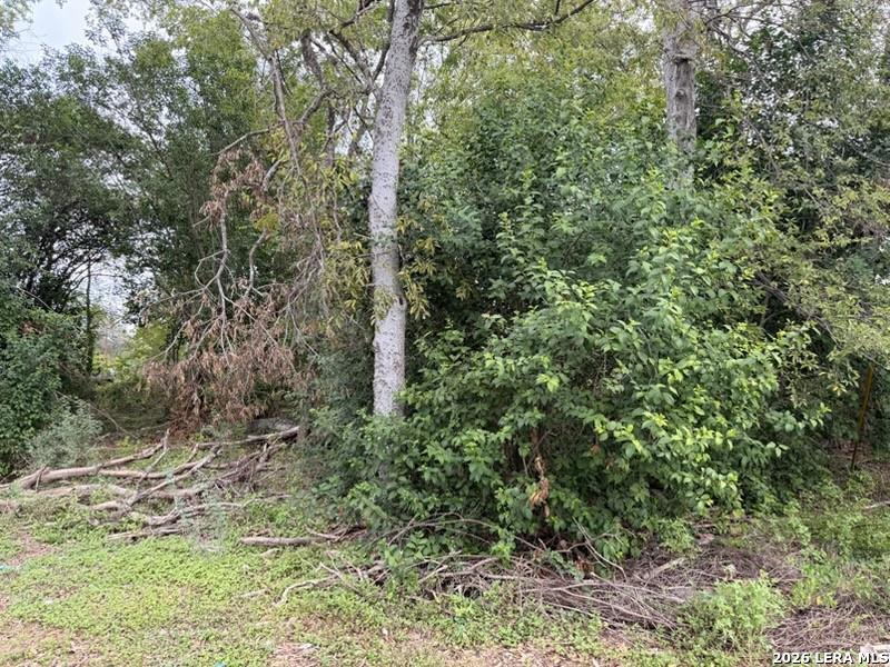 331 Bundy, San Antonio, TX 78220 — photo 1