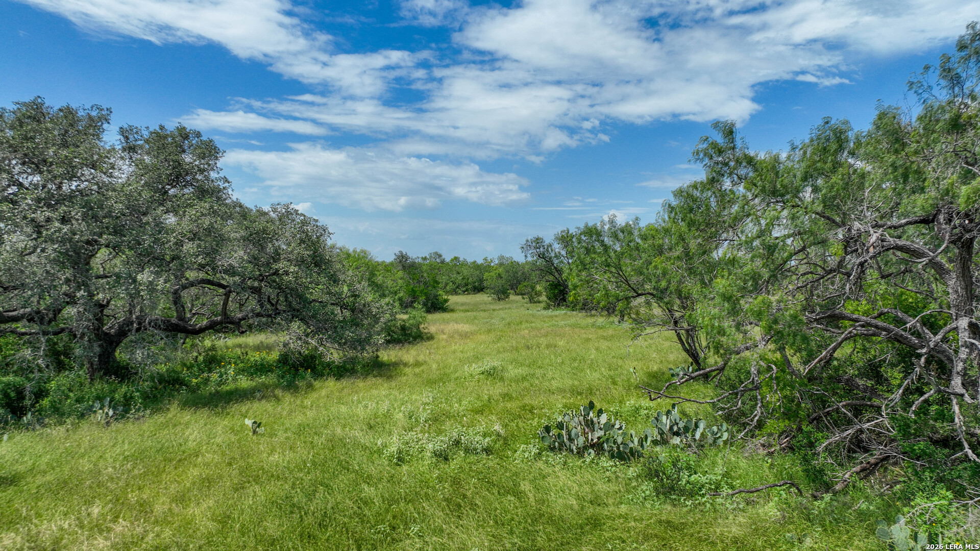 2880 CR 307, Jourdanton, TX 78026 — photo 1