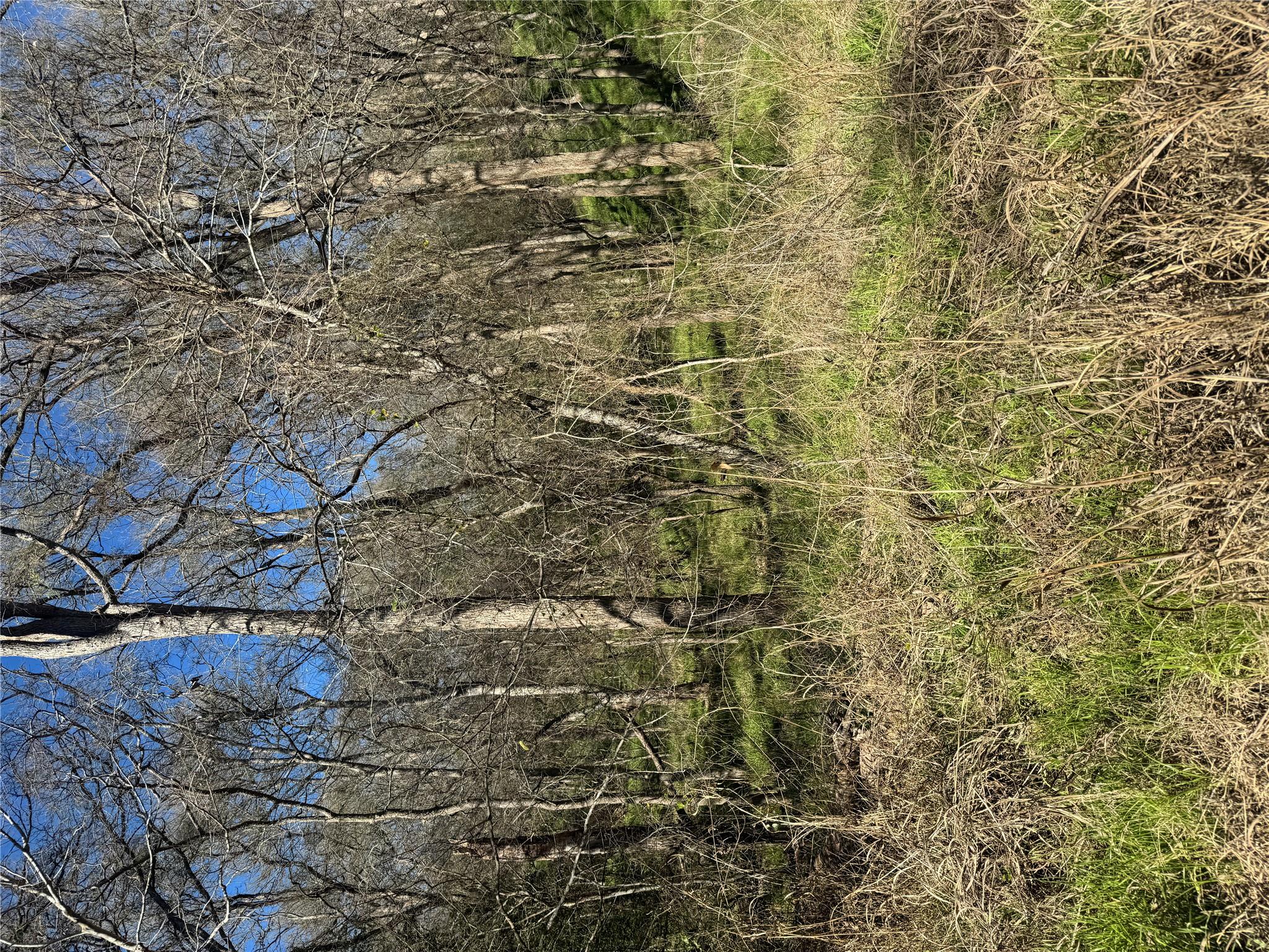 Lots 638. 639. 640  Kaukonahua Ln, Bastrop, TX 78602 — photo 1