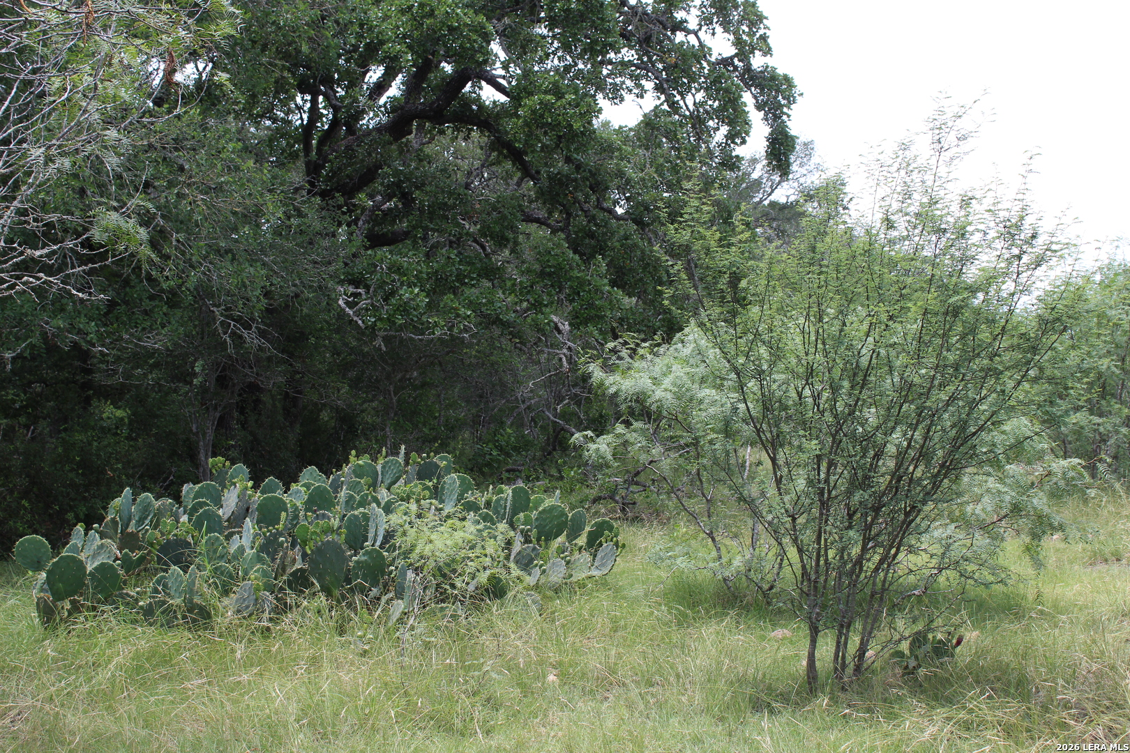 TBD FM 3353, Seguin, TX 78155 — photo 1