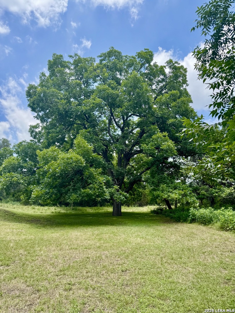359 BUD DANNER DR, Leakey, TX 78873 — photo 1